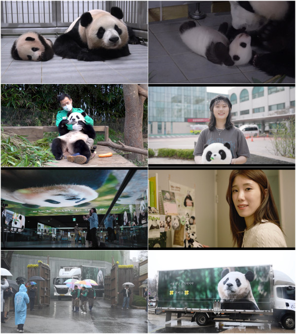 Special documentary <Fubao, The Time We Loved 1354> will be broadcast tomorrow (6th) Saturday at 8:40 PM