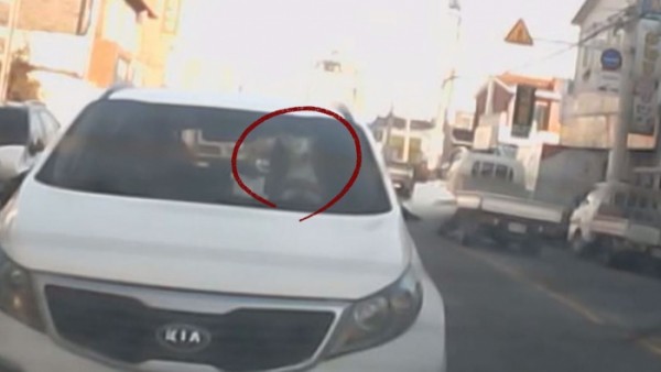 A car driven by a 'man in black box'?