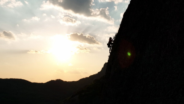 <Documentary Insight> Are there flowers that bloom only on Mt. Seorak?