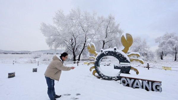 <A Tour of the Neighborhood> Is there ‘edible briquette’ in Goyang?