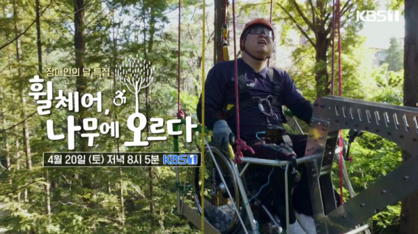 Disabled Day Special Documentary <Wheelchair Climbing a Tree> “Nothing is impossible!”