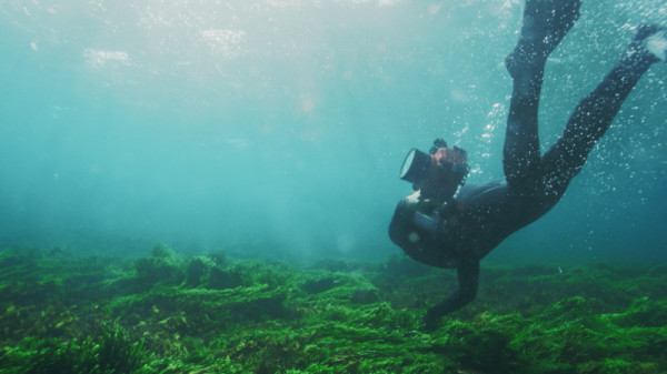 <Docu ON> Blue carbon, the earth cools down