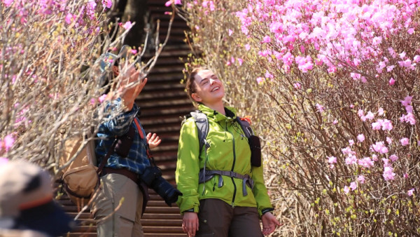 <Video Album Mountain> Climbs the mountain of the sea - Part 1 Yeosu Yeongchwisan