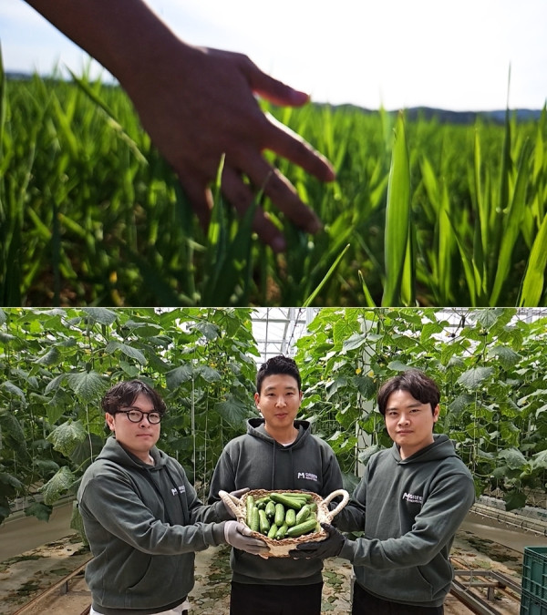 SBS Special Project [Smart Farming, Change your table] A special farming 'Smart Farm' that breaks the common sense of agriculture!