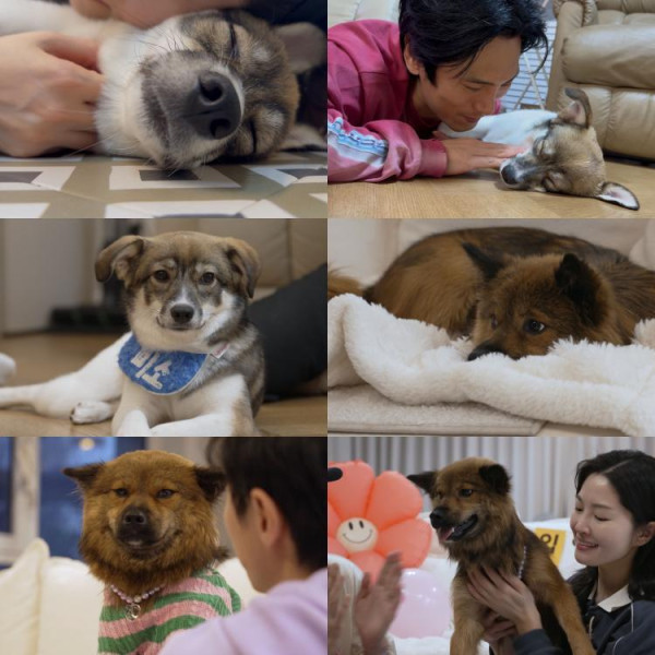 [SBS TV Animal Farm] Jaewoo X Yuri, Jeon Jin X Yuri, who sends 'smiles' and 'hurray' to the new family.